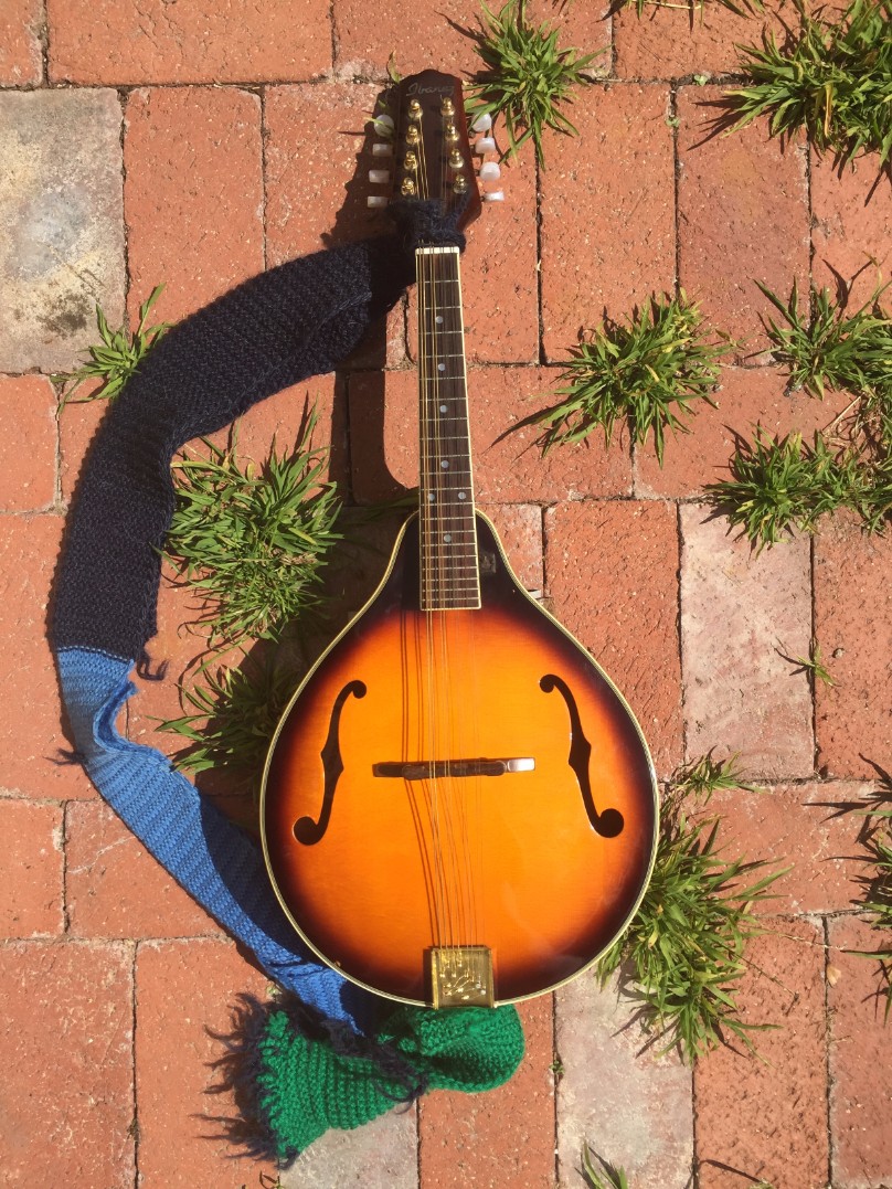 Mandolin SLO Music Lessons